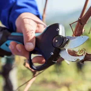 Tijera Bateria Stark M Campagnola